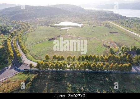 (221203) -- CHONGQING, 3 dicembre 2022 (Xinhua) -- questa foto aerea scattata il 2 novembre 2022 mostra una vista dell'Isola di Guangyang nel Chongqing del sud-ovest della Cina. ANDARE CON 'attraverso la Cina: Piante tolleranti alle inondazioni ripristinare l'ecosistema sulla mega isola del fiume Yangtze' (Xinhua/Wang Quanchao) Foto Stock