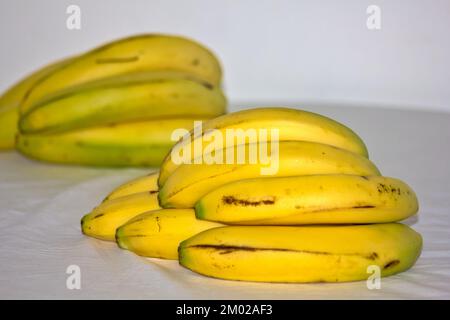 due mazzetti di banane su sfondo bianco Foto Stock