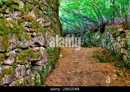 Muro di pietra a secco sul Caminho Portugues de Santiago, Viana do Castelo, Portogallo Foto Stock