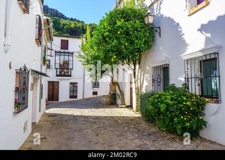 Belle case bianche con finestre barrate e arance con frutta in una giornata di sole, Grazalema, Cadice. Foto Stock