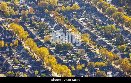 Veduta aerea, insediamento operaio Meerbeck-Hochstraß, tra Ruhrstraße e Fuldastraße, viale alberato e alberi in colori autunnali, forme e colori, Moer Foto Stock