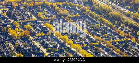 Veduta aerea, insediamento operaio Meerbeck-Hochstraß, tra Ruhrstraße e Fuldastraße, viale alberato e alberi in colori autunnali, forme e colori, Moer Foto Stock