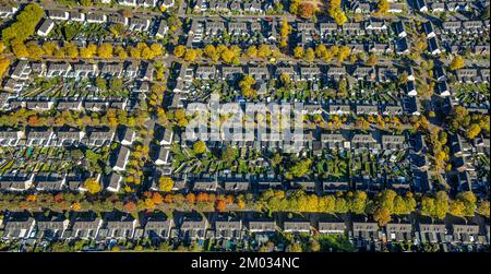 Veduta aerea, insediamento operaio Meerbeck-Hochstraß, tra Ruhrstraße e Fuldastraße, viale alberato e alberi in colori autunnali, forme e colori, Moer Foto Stock