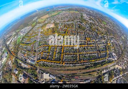 Veduta aerea, casa di lavoro Meerbeck-Hochstraß, tra Ruhrstraße e Fuldastraße, viale di alberi e alberi in colori autunnali, colpo di fisheye, Foto Stock