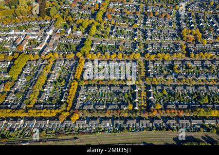 Veduta aerea, insediamento operaio Meerbeck-Hochstraß, tra Ruhrstraße e Fuldastraße, viale alberato e alberi in colori autunnali, forme e colori, Moer Foto Stock