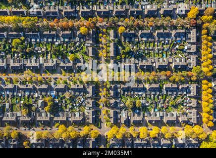 Veduta aerea, insediamento operaio Meerbeck-Hochstraß, tra Ruhrstraße e Fuldastraße, viale alberato e alberi in colori autunnali, forme e colori, Moer Foto Stock