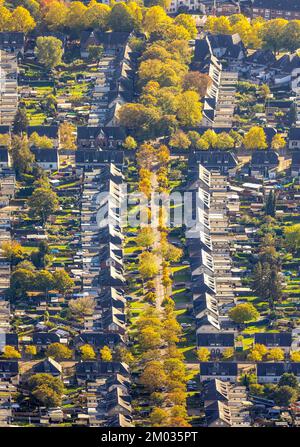 Veduta aerea, insediamento operaio Meerbeck-Hochstraß, tra Ruhrstraße e Fuldastraße, viale alberato e alberi in colori autunnali, forme e colori, Moer Foto Stock