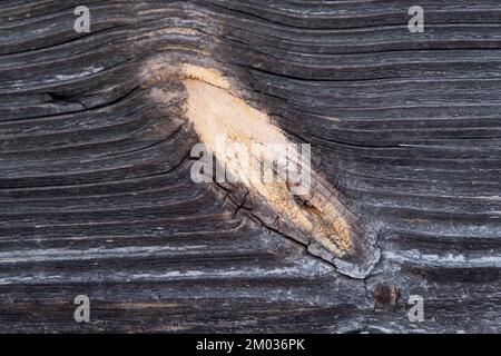 Il legno vecchio texture con modelli naturali. Foto Stock