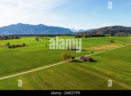 Paesaggio con alberi e montagne in alta Baviera Foto Stock