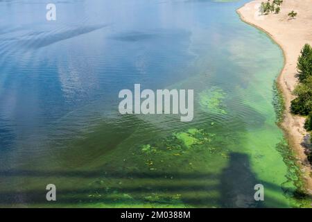 Acqua verde inquinata di fiume. Batteri tossici e rifiuti nocivi inquinano l'acqua. Problemi ecologici Foto Stock