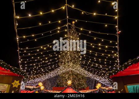 Paesaggi notturni e vista ad angolo basso dell'enorme albero di Natale e della Cattedrale di Colonia durante Weihnachtsmarkt, il mercato di Natale a Köln, Germania. Foto Stock