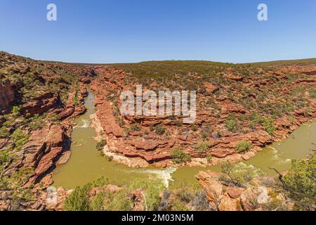 La vista della Z Bend, dove il fiume Murchison si piega bruscamente attraverso la gola di arenaria nel Parco Nazionale di Kalbarri, Australia Occidentale, Australia. Foto Stock