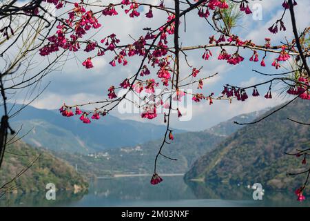 Vista soleggiata del lago artificiale di Wushe a Nantou, Taiwan Foto Stock