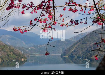 Vista soleggiata del lago artificiale di Wushe a Nantou, Taiwan Foto Stock