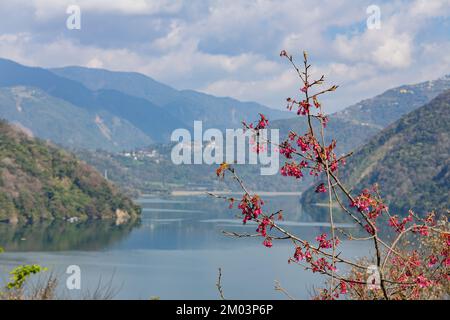 Vista soleggiata del lago artificiale di Wushe a Nantou, Taiwan Foto Stock