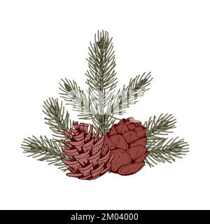 Composizione botanica di Natale con rami di pino e coni. Illustrazione vettoriale nello stile di schizzo isolata su sfondo bianco Illustrazione Vettoriale