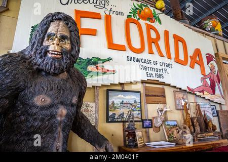Bigfoot alla Showcase of Citrus, un'attrazione sugli agrumi a Clermont, Florida, a sud-est di Orlando. (USA) Foto Stock