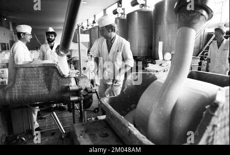 Il lavoro del caseificio di Westmilch nella produzione di burro su 28.05.1980 nel suo ford-Extertal, DEU, Germania, Herford, Europa Foto Stock