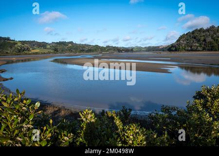 L'estuario del fiume Puhoi, il Parco Regionale di Wenderholm, Orewa, Auckland, North Island, Nuova Zelanda Foto Stock