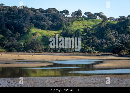 L'estuario del fiume Puhoi, il Parco Regionale di Wenderholm, Orewa, Auckland, North Island, Nuova Zelanda Foto Stock