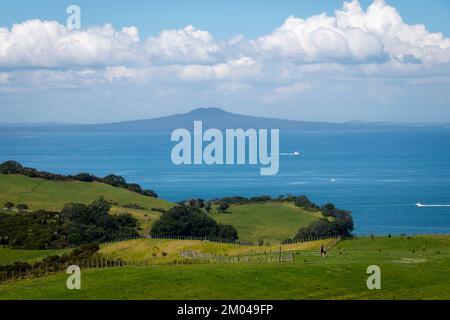 Isola di Rangitoto, Golfo di Hauraki, dal Parco Regionale di Shakespear, Penisola di Whangaparaoa, Auckland, Isola del Nord, Nuova Zelanda Foto Stock