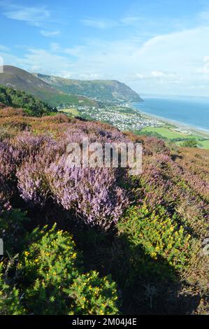 Vista sul penmaenmawr dal monte Conwy Foto Stock