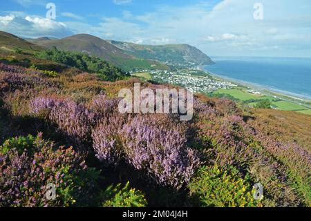 Vista sul penmaenmawr dal monte Conwy Foto Stock