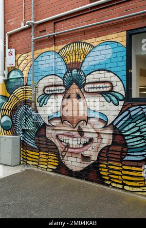 Harrington Lane Street Art, Hobart, Tasmania, Australia Foto Stock