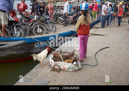 Signora che vende polli vivi a Hoi An Vietnam Foto Stock