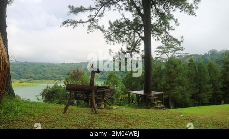 incredibile cervi in legno in un bellissimo giardino Foto Stock