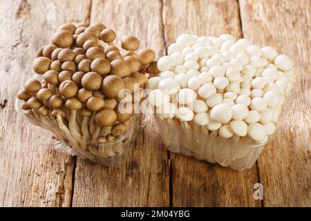 Funghi di faggio bianchi e marroni o Shimeji o Hypsizygus tessulatus in contenitore di plastica primo piano su tavolo di legno. Orizzontale Foto Stock