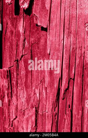 Sfondo creativo in legno. Struttura di vecchio legno rovinato rovinato decadente. Tonalità trendy nel colore 2023 Viva Magenta. Orientamento verticale. Foto Stock