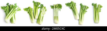 Collage di sedano verde fresco su sfondo bianco, vista dall'alto Foto Stock