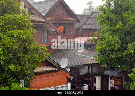 Una discesa durante la stagione delle piogge a Luang Prabang, Laos. Foto Stock