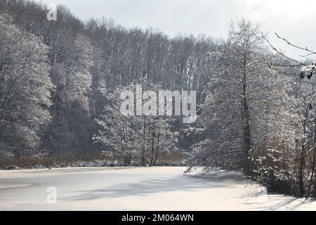 Laghetto ghiacciato con alberi innevati che crescono sulle rive in una giornata invernale in Germania. Foto Stock