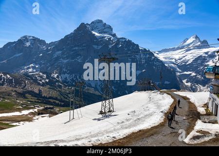 Inverno neve che si scioglie intorno agli alberi della funivia durante la primavera alla prima fermata della funivia Berggasthaus. Alpi svizzere sullo sfondo. Foto Stock
