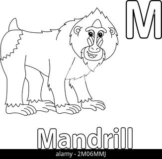 Mandrill Alphabet ABC colorazione isolata pagina M Illustrazione Vettoriale