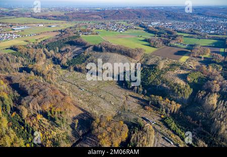 Luftbild, Wildwald Vosswinkel Waldgebiet mit Waldschäden im Stadtteil Voßwinkel in Arnsberg, Sauerland, Nordrhein-Westfalen, Deutschland Foto Stock