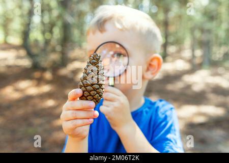 Il ragazzo curioso sta esplorando la natura con lente d'ingrandimento all'aperto Foto Stock