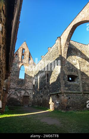 Rosa coeli, rovine della chiesa e del monastero, Dolni Kounice vicino alla città di Ivancice, Moravia meridionale, Repubblica Ceca Foto Stock