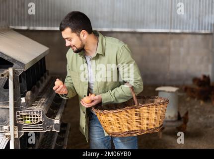 Coltivatore che raccoglie uova fresche all'interno della casa di gallina Foto Stock