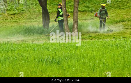Ucraina, Kiev, 06.20.2019. Un gruppo di lavoratori municipali pubblici in uniformi verdi e maschere falciando erba in un parco con Handheld Gasoline Lawn mo Foto Stock