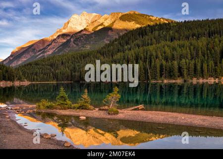 Piccoli alberi costieri sorgono lungo le calme acque del lago Two Jack nel Parco Nazionale di Banff, circondato dal paesaggio montano delle Montagne Rocciose canadesi. Foto Stock