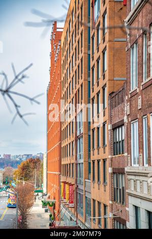 New York City, NY - 1st dicembre 2018: Buidlings di Manhattan lungo la High Line Promenade. Foto Stock