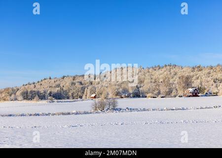 Fredda giornata invernale in campagna Foto Stock