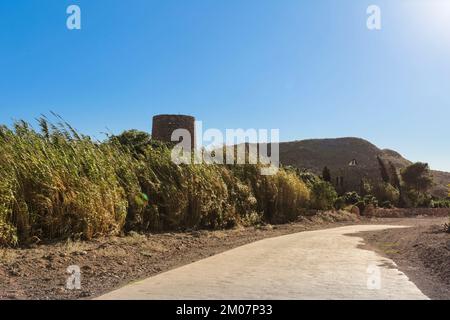 Vecchia torre e sentiero circondato da canne e vegetazione nella spiaggia di Playazo, Rodalquilar, Almeria Foto Stock