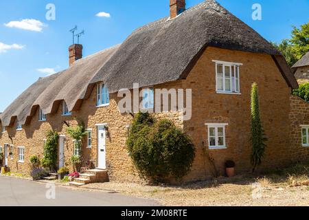 Una bella casa di paglia in Abbotsbury Dorset Foto Stock