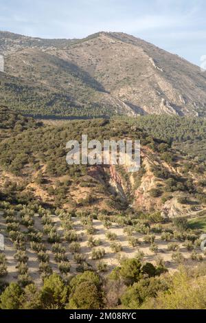 Parco Nazionale della Sierra Magina, Jaen, Spagna Foto Stock