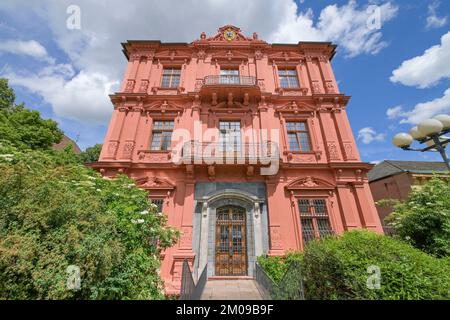 Konferenzzentrum, Kurfürstliches Schloss, Peter-Altmeier-Allee, Magonza, Rheinland-Pfalz, Germania Foto Stock