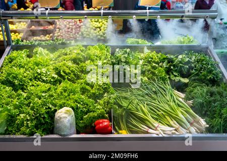 Vendita di verdure fresche verdi - insalata di lattuga, prezzemolo, aneto, cipolle verdi, erbe aromatiche. Erbe fresche in esposizione presso il negozio di alimentari sotto il vapore di acqua di raffreddamento. Foto Stock